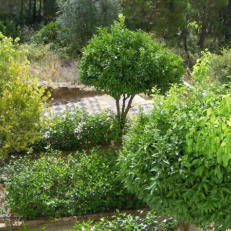 Naranjos Country house
